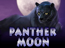 Онлайн казино и автомат Panther Moon